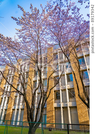 佐倉（宮城縣仙台市）東北大學片平校區電氣通信研究所 89179342