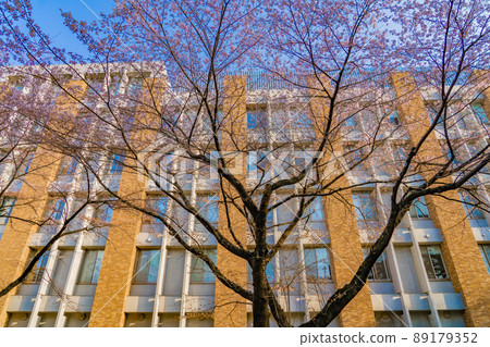 佐倉(宮城縣仙台市)東北大學片平校區電氣通信研究所 佐倉(宮城縣仙台市)東北大學片平校區電氣通信研究所 89179352