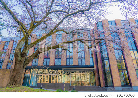 Sakura Hall, Tohoku University Katahira Campus (Sendai City, Miyagi Prefecture) Sakura Hall, Tohoku University Katahira Campus (Sendai City, Miyagi Prefecture) 89179366