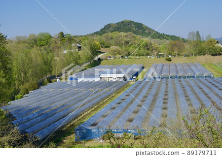 排列著乙烯樹脂房屋的山陰島根田園風光 89179711