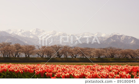Spring trio 2 Spring trio 2 89180845