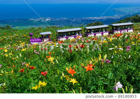 琵琶湖立山百合公園 89180953