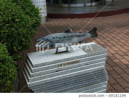 Sakaiminato, Tottori Prefecture, Yonago 89181194