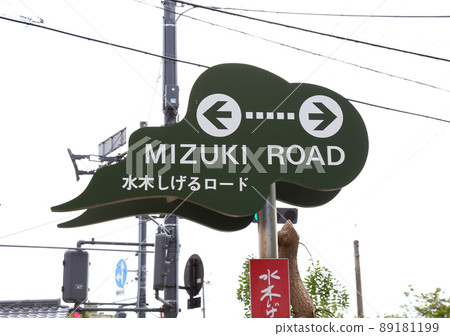 鳥取縣米子市境港市 鳥取縣米子市境港市 89181199