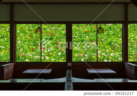 Biwako Hakodateyama Lily Garden Yuri no Oka seen from the lodge Biwako Hakodateyama Lily Garden Yuri no Oka seen from the lodge 89181217