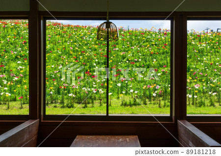 從小屋看到的琵琶湖函館山百合園百合之丘 從小屋看到的琵琶湖函館山百合園百合之丘 89181218