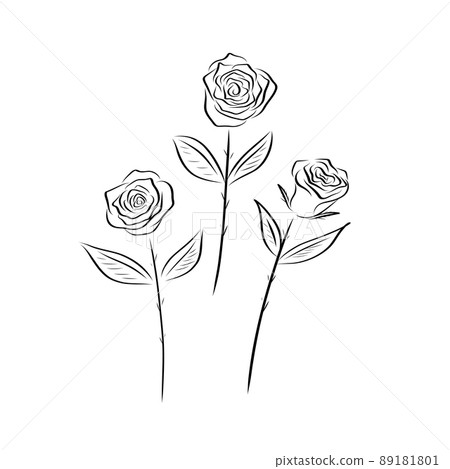 Simple illustration of roses Simple illustration of roses 89181801