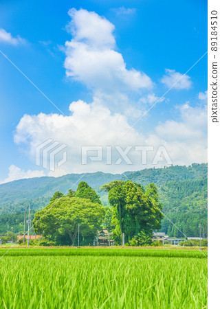 Countryside summer shrine 89184510