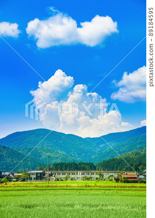 鄉村學校暑期 89184595