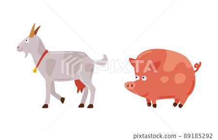 Pig and goat, farm animals cartoon vector illustration 89185292