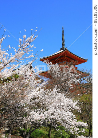 Kiyomizu-dera in spring, triple tower and cherry blossoms in full bloom 89185306