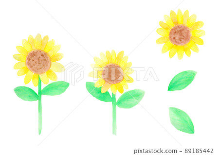 向日葵插圖水彩設置簡單的手寫矢量剪貼畫 89185442
