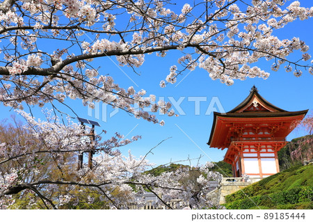 春天的清水寺、仁王門和櫻花盛開 春天的清水寺、仁王門和櫻花盛開 89185444