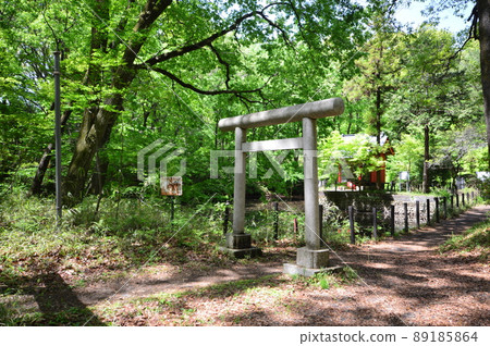 Spring Metropolitan Komiya Park Hachioji City 89185864