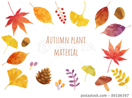 Vector illustration of autumn plant leaves (watercolor, fallen leaves, leaves, leaves) 89186397