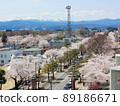 山和櫻桃樹 89186671