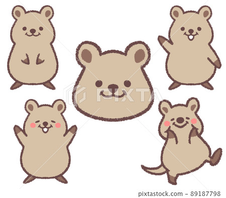 Quokka variation set 89187798