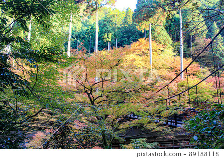 [京都]神光寺秋葉橋 89188118