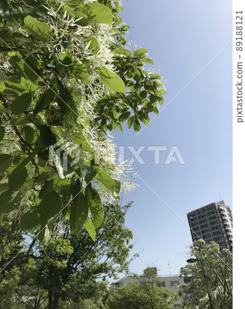 四月的風景 四月的風景 89188121