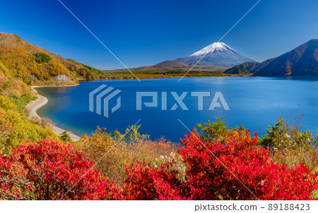 Lake Motosu Yamanashi_ Superb view of Mt. Fuji and autumn leaves Lake Motosu Yamanashi_ Superb view of Mt. Fuji and autumn leaves 89188423