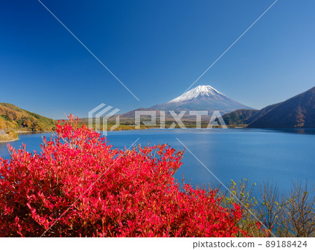 Lake Motosu Yamanashi_ Superb view of Mt. Fuji and autumn leaves 89188424