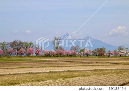 春稻田和萬代山(福島縣郡山市港南町) 春稻田和萬代山(福島縣郡山市港南町) 89188434