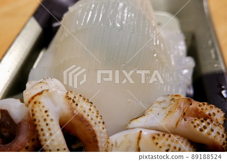 Squid sashimi Squid sashimi 89188524