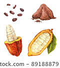 Watercolor cocoa collection isolated on white background. Beans, cocoa powder, cocoa fruit with grains and leaf 89188879