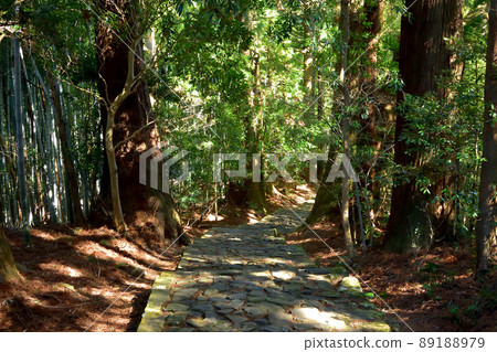 熊野古道 89188979