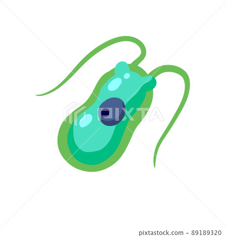 Chlamydomonas plankton. Small unicellular green animal with antennae and flagella. Chlamydomonas plankton. Small unicellular green animal with antennae and flagella. 89189320