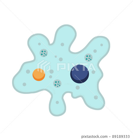 Amoeba cell. Small unicellular animal. Virus and bacteria. Education and science. 89189333