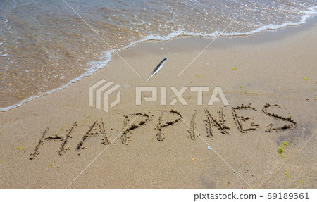The words Happiness is written in the sand on the beach with a wave washing The words Happiness is written in the sand on the beach with a wave washing 89189361