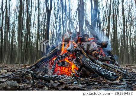 Campfire in the spring forest. Rest on the weekend. Danger of forest fires 89189487