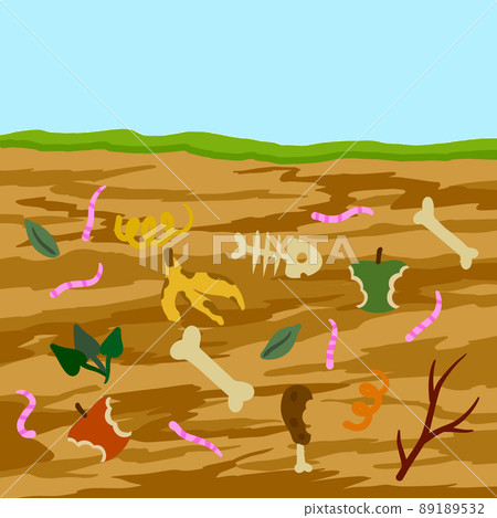 Compost soil. Layer of earth in section with worms. Farming and food waste 89189532