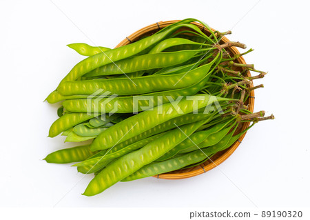 Young fruit of Leucaena leucocepphala on white background. 89190320