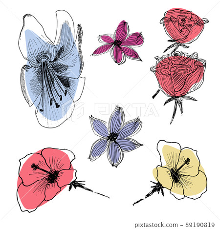 set of hand drawn flower sketches, vector illustration set of hand drawn flower sketches, vector illustration 89190819