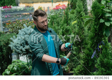 Man trimming decorative trees for sale in garden shop 89191301