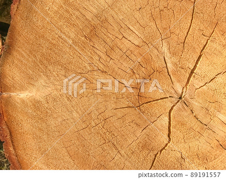 wood cut texture wood cut texture 89191557
