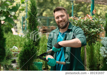 Worker taking care of decorative trees for sale in garden center 89191697