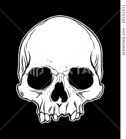 Anatomical Human Skull Anatomical Human Skull 89191831