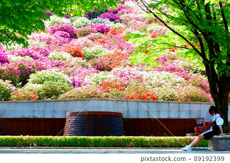 A woman looking at a smartphone Nishiyama Park Azalea Festival 89192399
