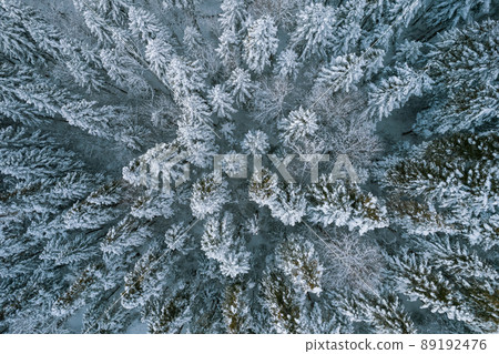 Bird's-eye top down view of snow covered forest and frosty tree tops. Fly over frozen winter forest with snow covered trees. Coniferous forest in winter. 89192476