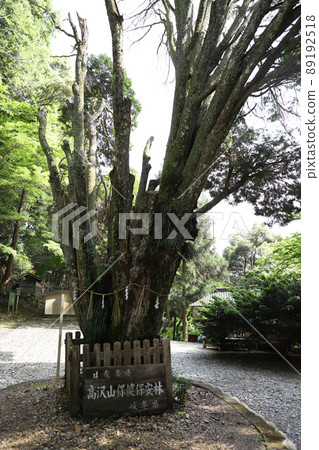 Nichiryubuji Temple (Kannon Takasawa) Nichiryubuji Temple (Kannon Takasawa) 89192518