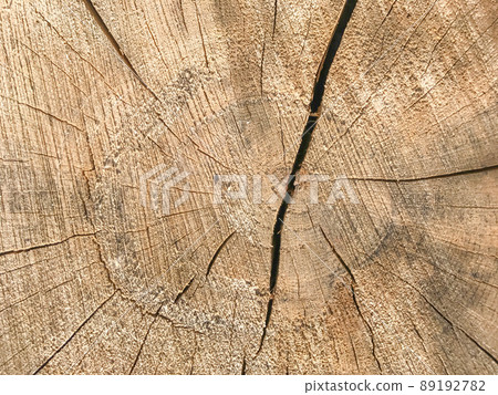 Background of wooden texture. Closeup of tree trunk with age rings 89192782