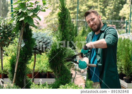 Worker taking care of decorative trees for sale in garden center 89192848