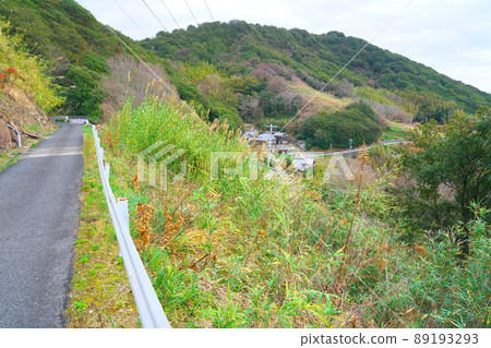 Okiura district seen from the Hachimaki road of Tsubaki Island and Obishi Island and Kojinyama, the highest peak of the island, Kasaoka City, Okayama Prefecture 89193293