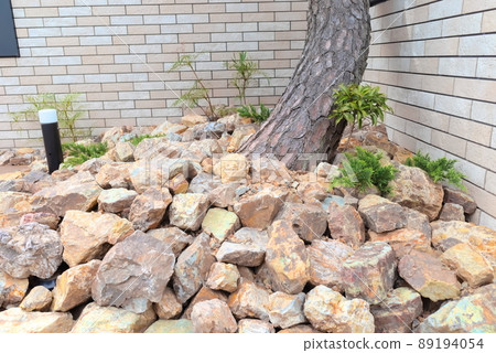 Garden stones studded at the base of pine trees Garden stones studded at the base of pine trees 89194054