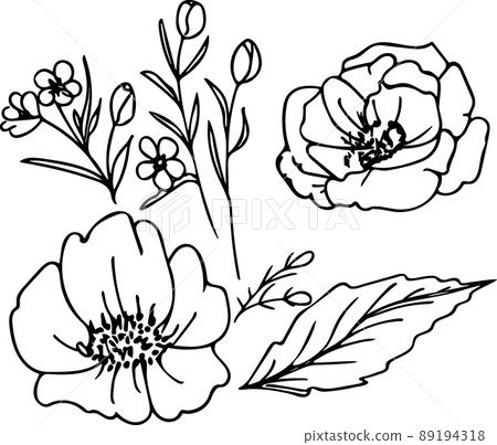 Hand drawn poppies flower doodle elements Hand drawn poppies flower doodle elements 89194318