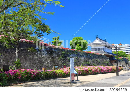 [鹿兒島縣]晴空下的鶴丸城五郎門（鹿兒島城） 89194559