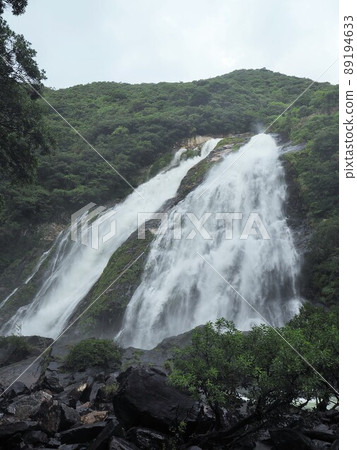 Okawa Falls, the largest waterfall on Yakushima Okawa Falls, the largest waterfall on Yakushima 89194633